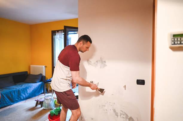 Best Toxic Mold Removal  in Northchase, NC